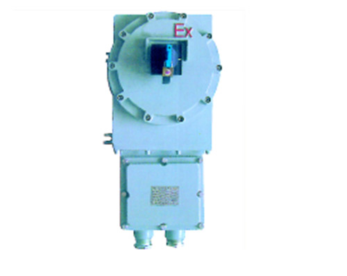 B(C)DZ防爆（漏電）斷路器(IIB IIC)